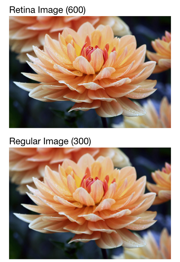 retina display