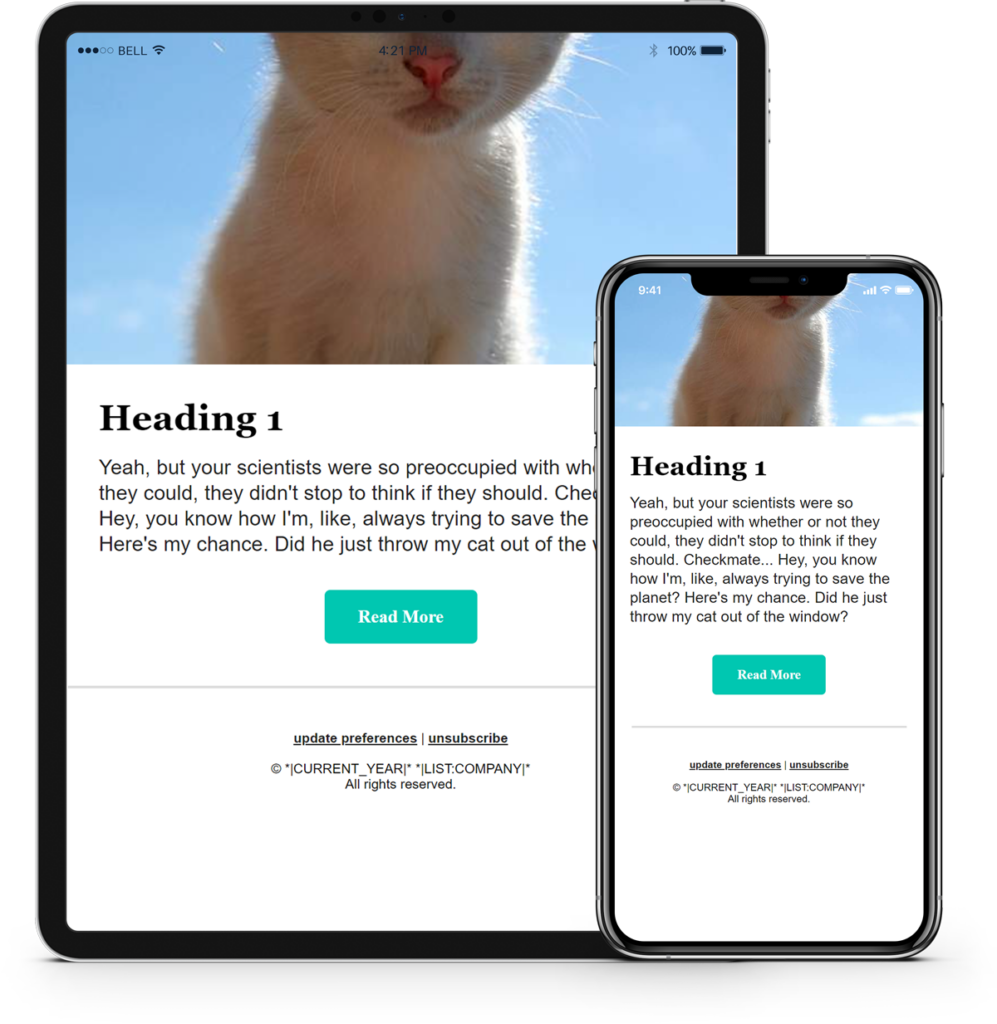 Mailchimp email template with cat as hero image