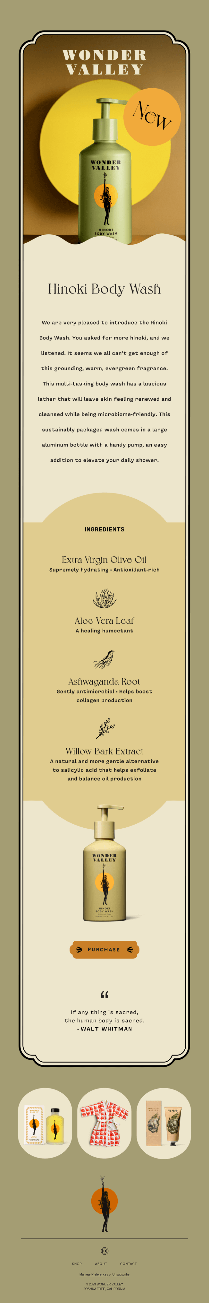 Vintage and natural email marketing design example